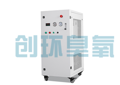 南皮石斑鱼养殖水质调控完整指南：臭氧发生器配置与操作步骤