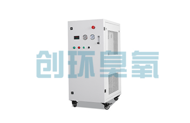 南皮比传统换水更高效？臭氧发生器在石斑鱼养殖中的水质净化原理解析
